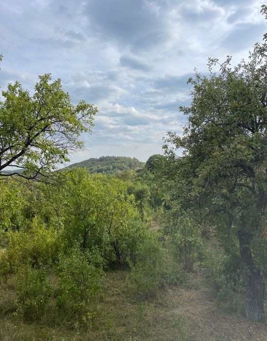 A frame langa Sinaia