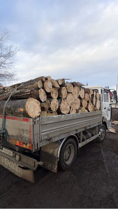 Lemne de foc esenta tare