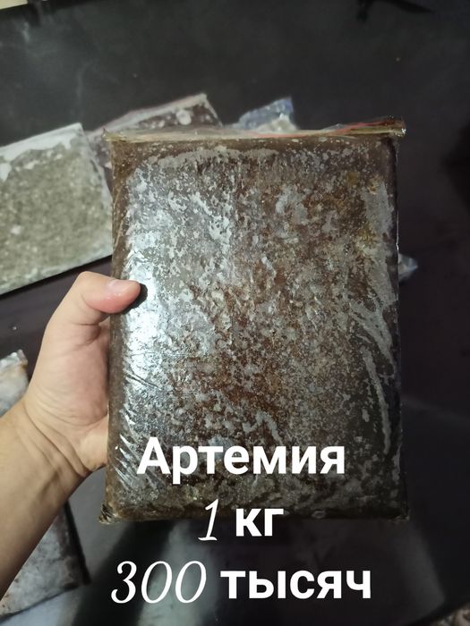 Замороженный корм для рыбки