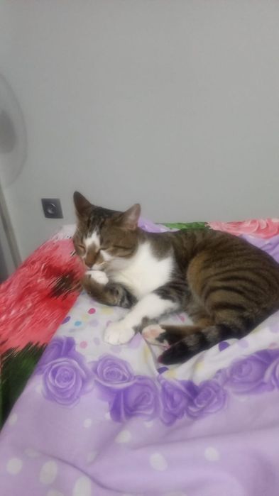 продавец атырау 26