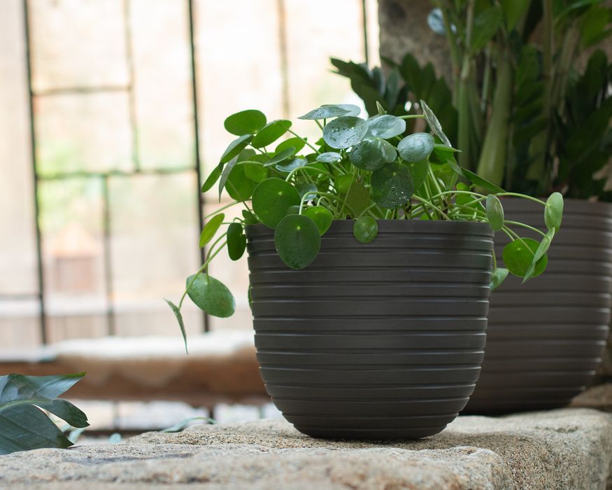 Кашпа Голяма стабилна саксия с напоителна система