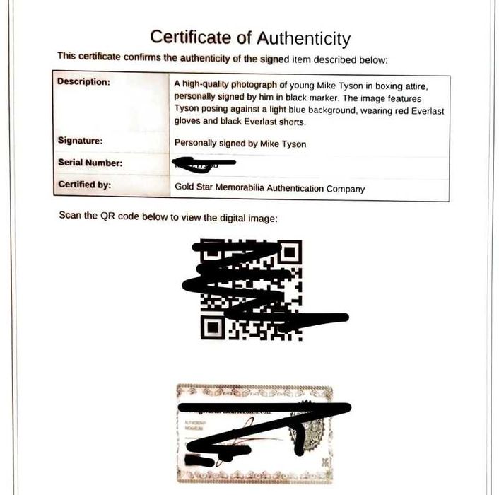 Mike Tyson Signed memorabilia semnat autograf tablou Iron Mike Tyson