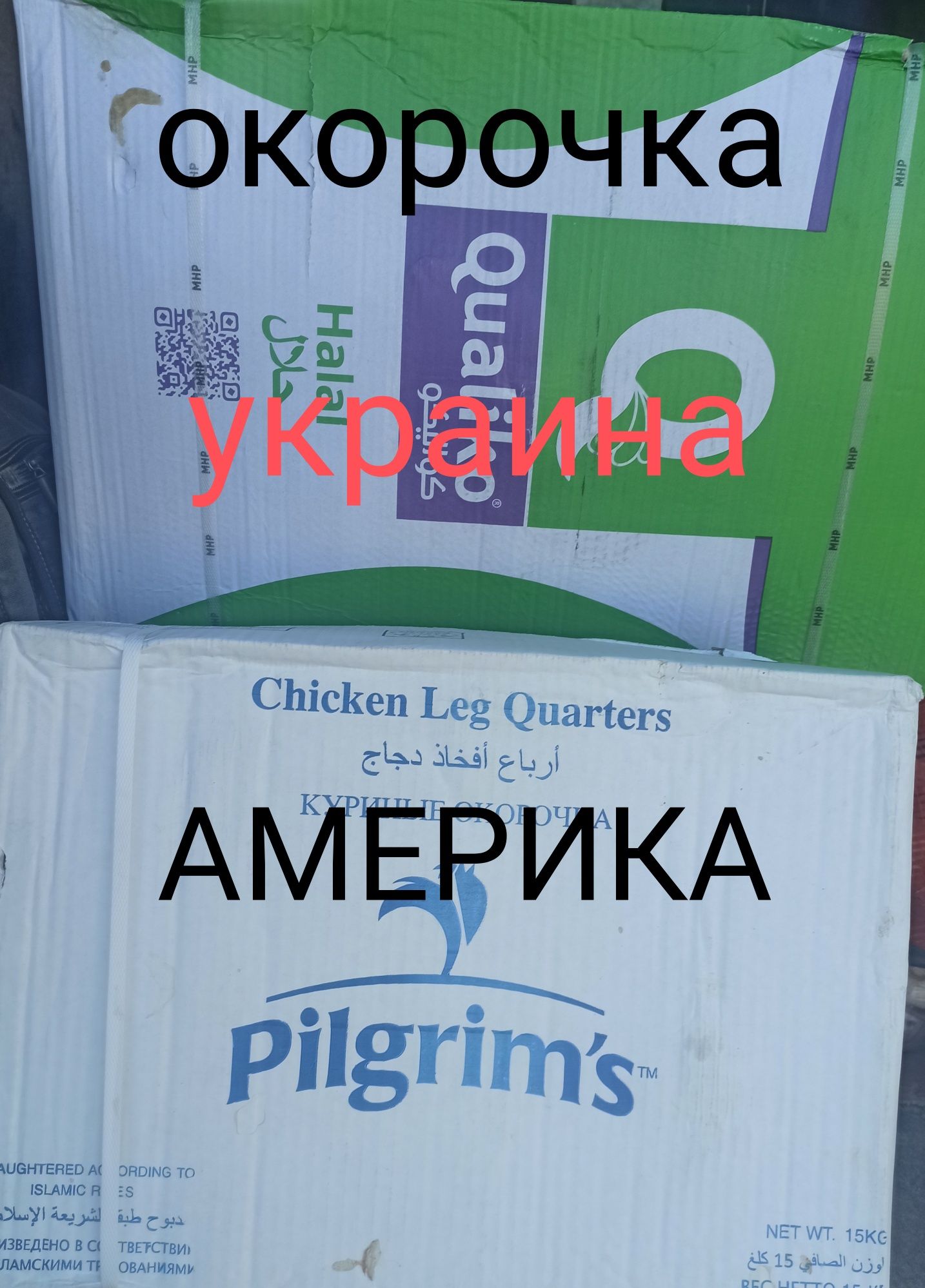 Окорочка доставка на дом Костанай: 12 450 тг. - Продукты питания / напитки  Заречное на Olx