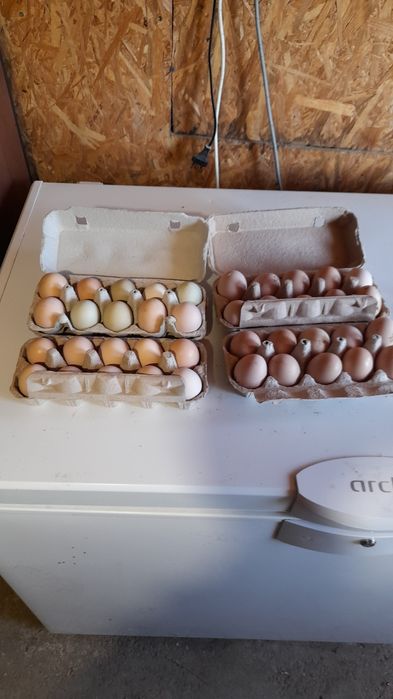 Vhnd oua de auroslop