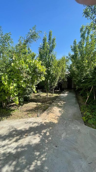 Toytepa dacha 6 sotix srochna