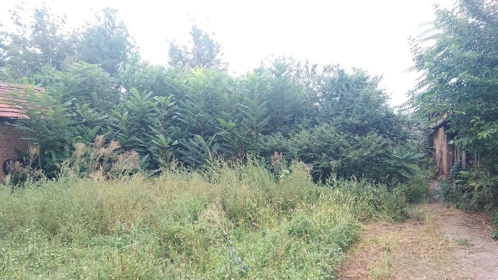 Продава се Къща в с. Громшин, Област Монтана - 150 кв.м за 99 €/кв.м - Снимка #11