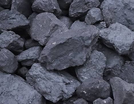 Komir otbor zori shashlik uchun