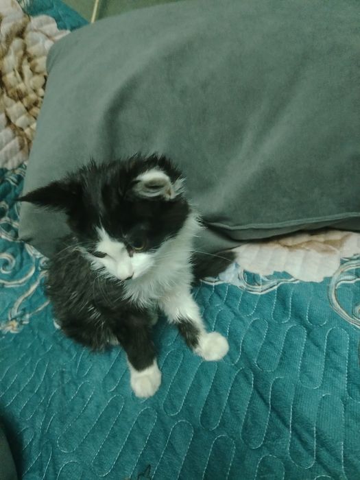 Даём хорошие руки