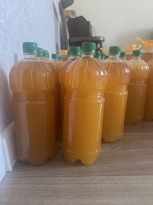 Катон-Карагайский мед из собственной пасеки