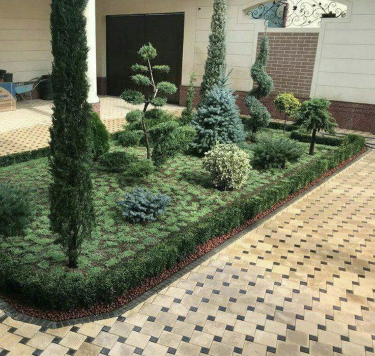 Газон экамиз Gazon ekamiz