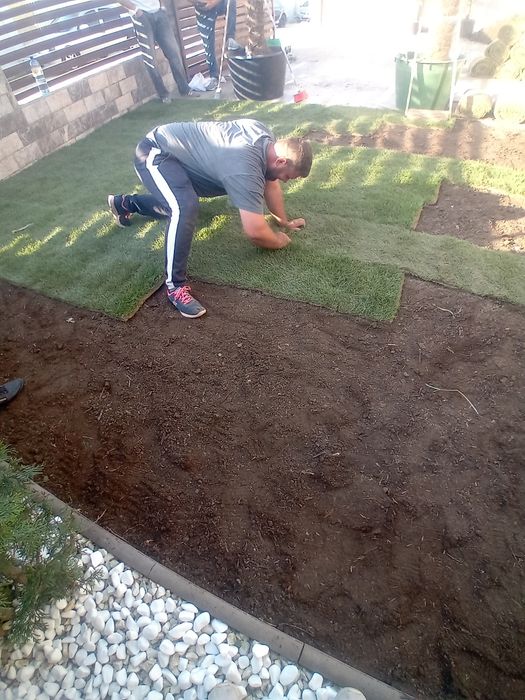 Amenajări grădini de la zero