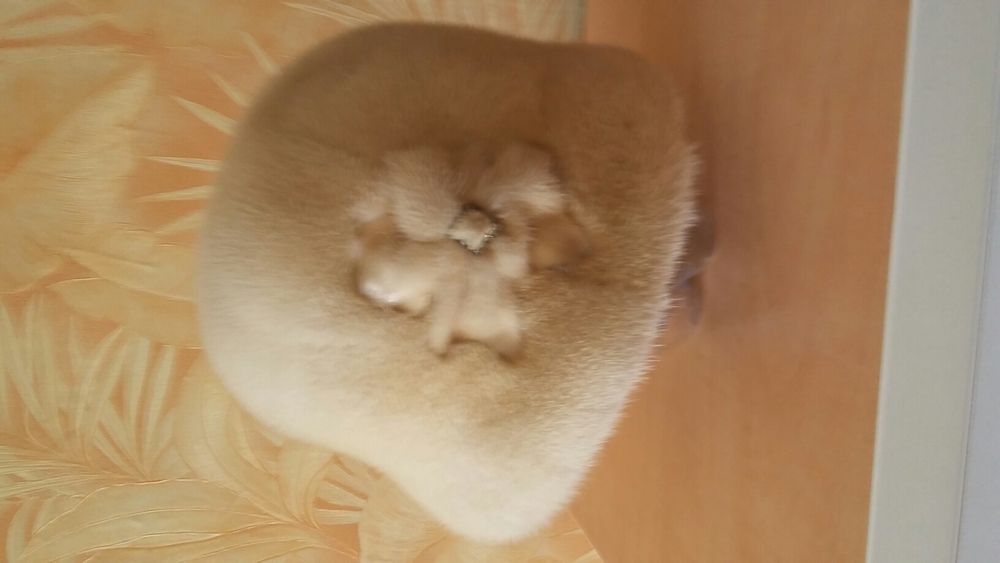 Продам норковую шапку