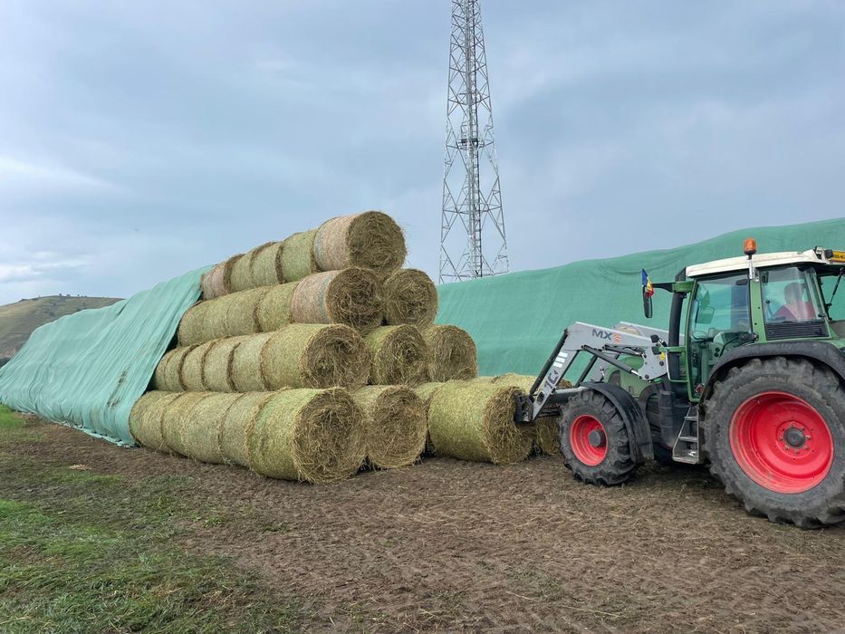 Baloti lucerna coasa 1/2