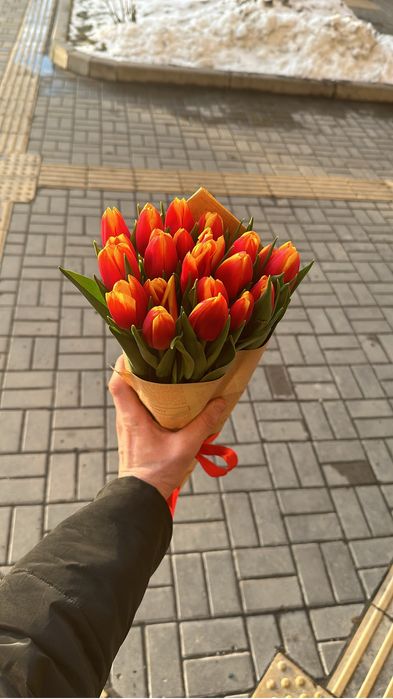 Тюльпаны на 8 марта