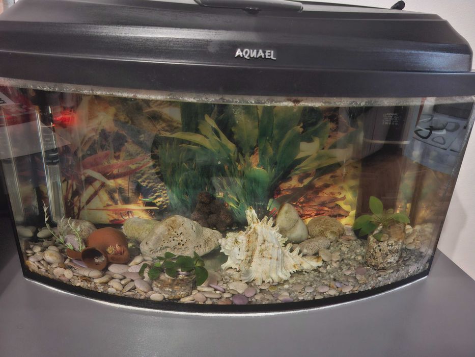 Оборудван аквариум 60 л.