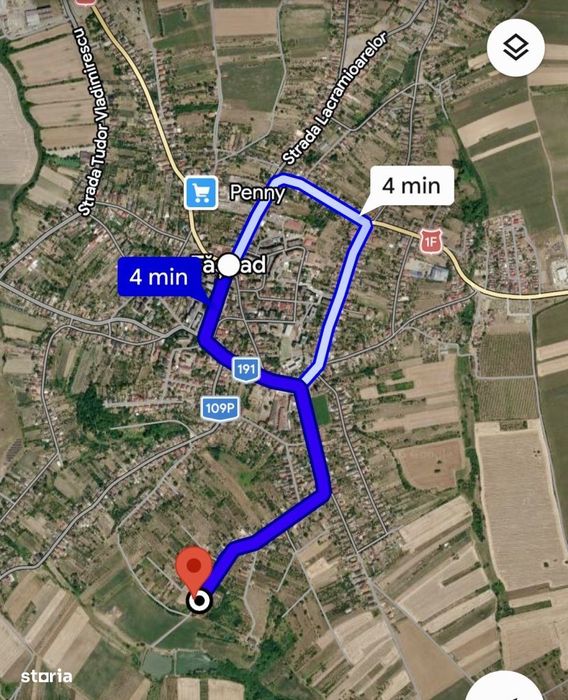 Teren cu pomi fructiferi , vie si loc de casa