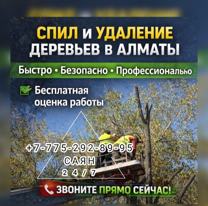 Спил и формовка деревьев