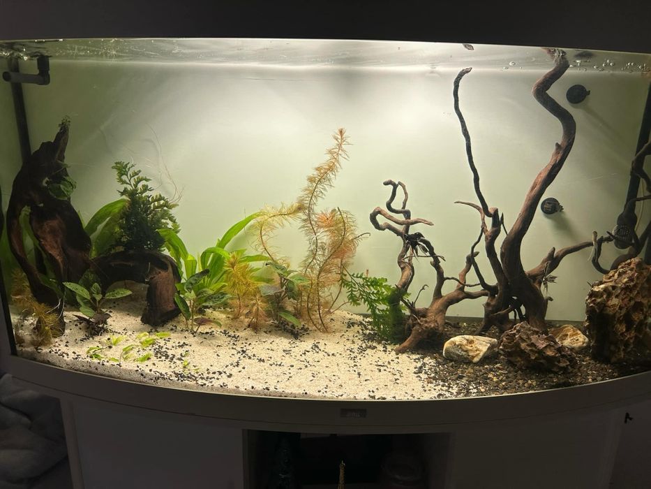 Acvariu Juwel Vision 260