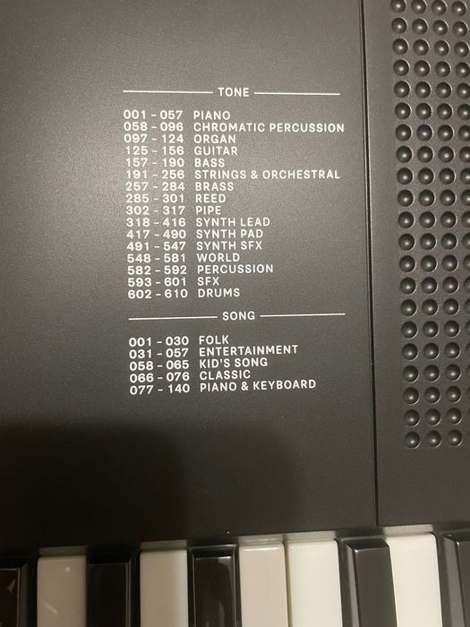 Синтезатор Roland E-X10 с динамика
