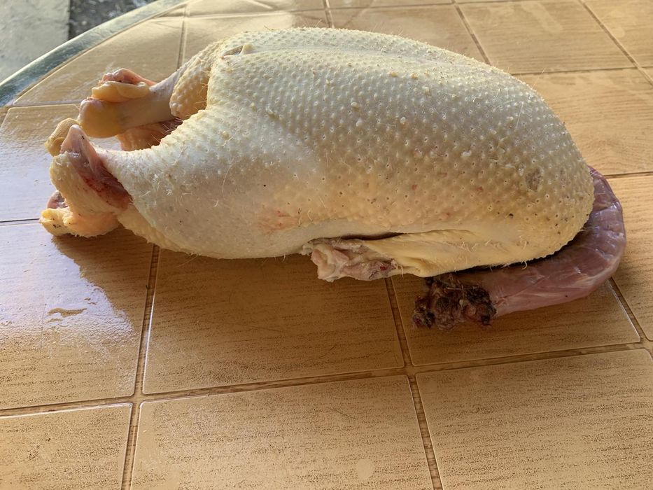 Домашна Еко Патица Патка