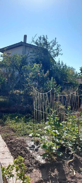 Продава се Къща в Хасково, Куба - 100 кв.м за 1018 €/кв.м - Снимка #12