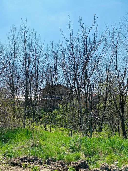 Vand teren extravilan 7800 mp in sat Lipia, com. Gruiu, jud. IF
