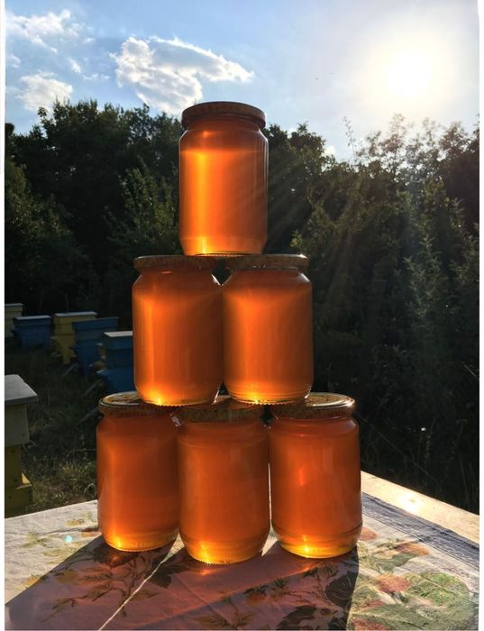 Miere naturală 100% BIO – direct de la producător, fară ados