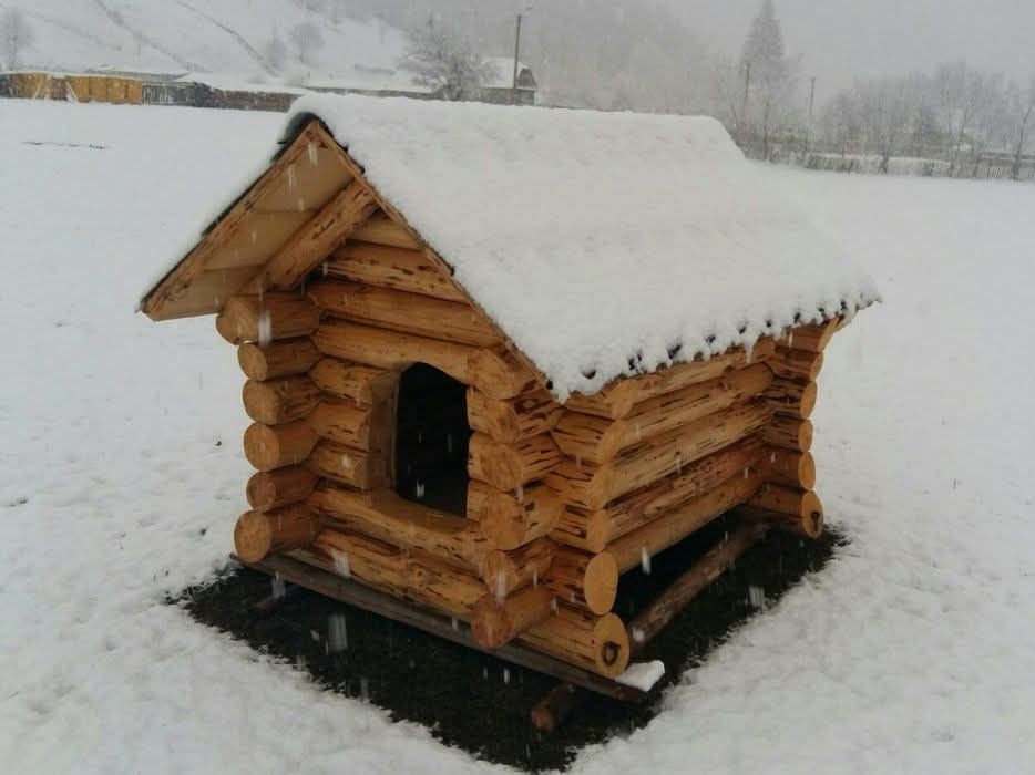 Foișor rustic , masă lemn masiv , cușcă câine.
