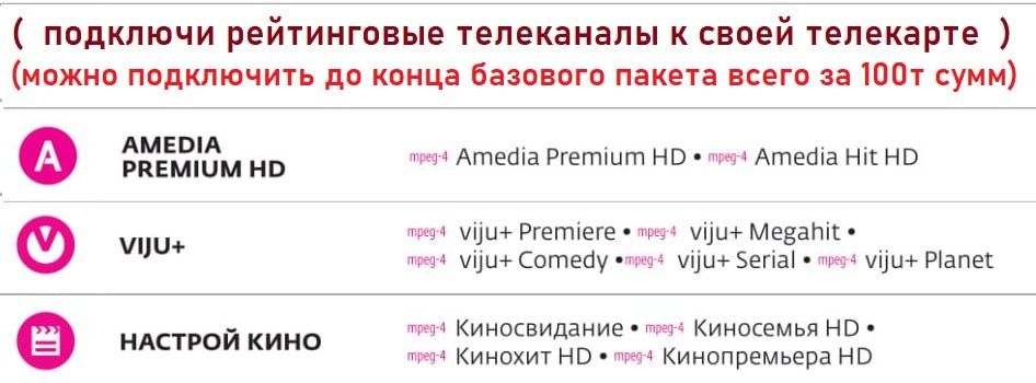 Телекарта Telekarta рейтинговые каналы по акции.