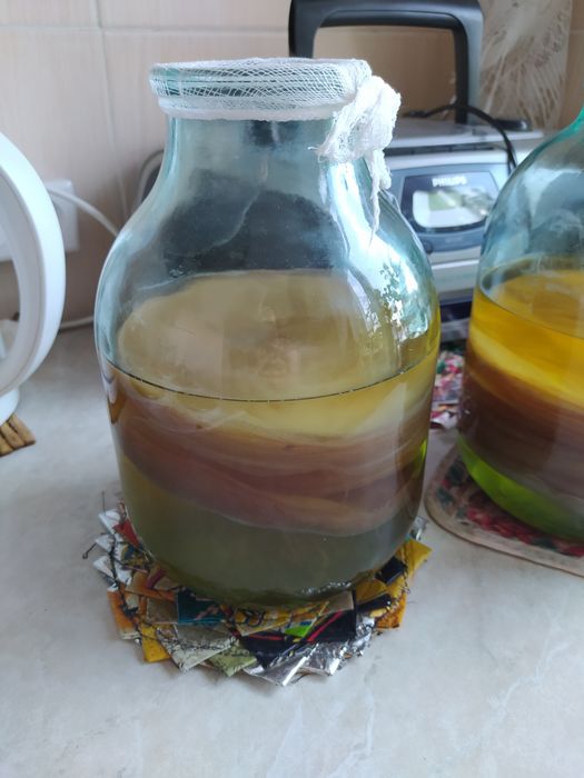 Продам чайный гриб 1500 тенге