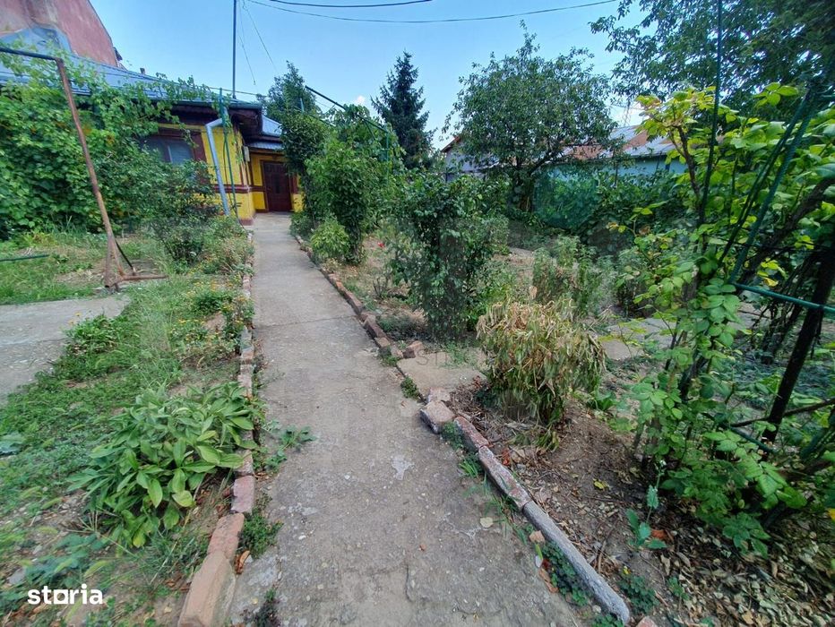 Voluntari – Teren Intravilan 861 mp | Deschidere 20m | Dragonul Roșu