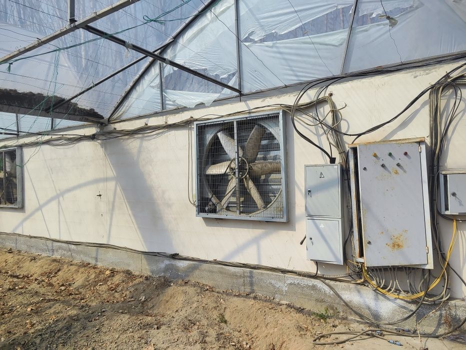 Ventelyator issiqxona teplitsa uchun