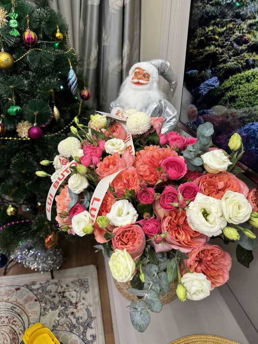 Продам цветы срочно