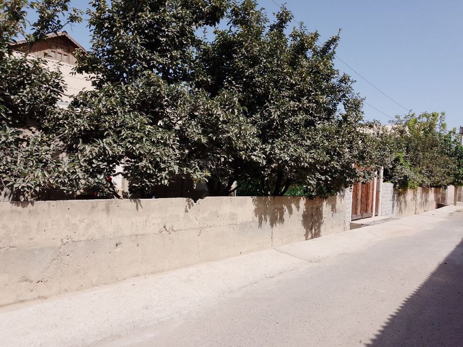 11 сотухли ховли