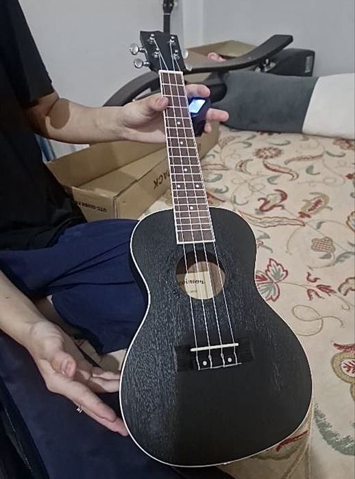 Укулеле концерт fabio