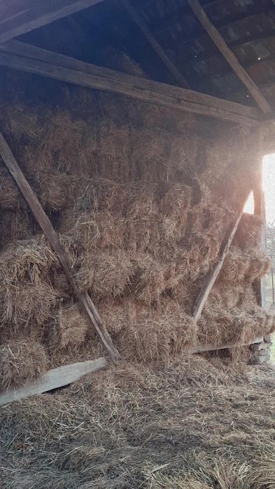 Vând baloți de fân!!