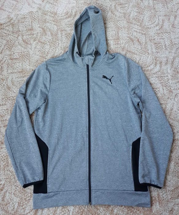 hanorac     puma