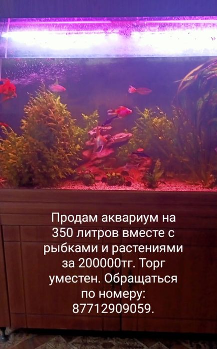 Продам аквариум 350 литров торг уместен