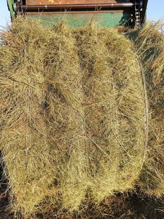Продам сено степное