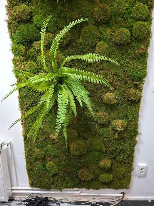 Panou si cerc decorativ cu licheni decorativi