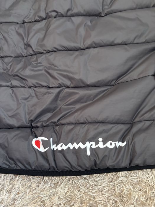 Vesta champion