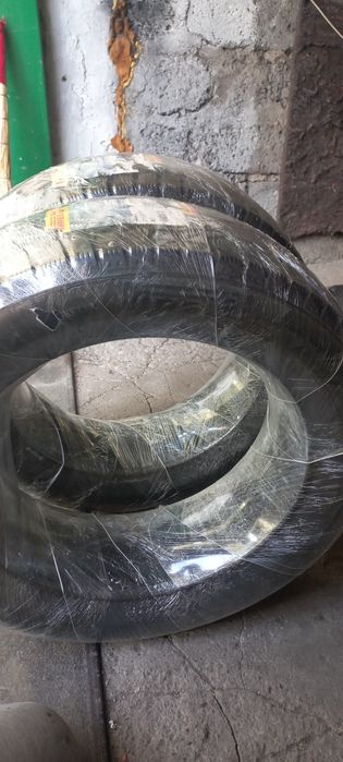 Продам два болона Pireli