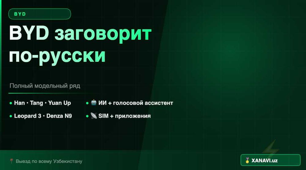 BYD на русском языке — русификация, ИИ, голос. Выезд к вам!