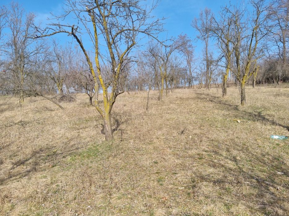 Teren Curtea de Arges Transfagarasan
