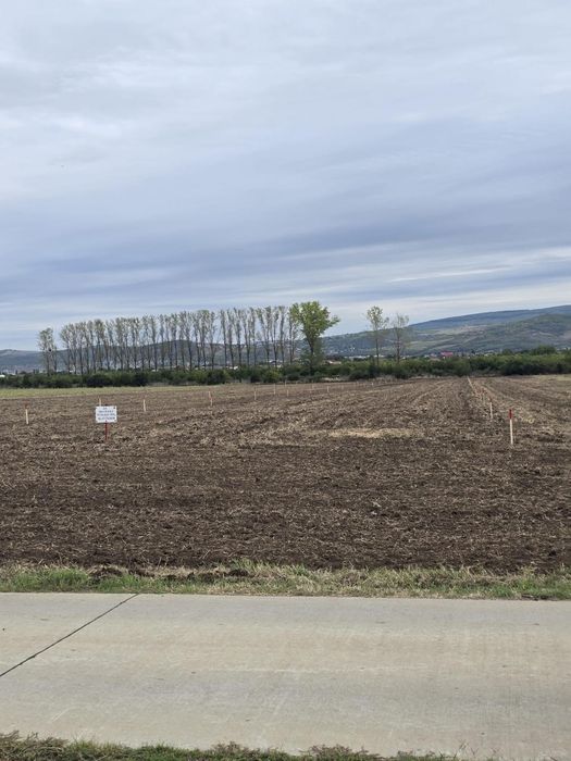 Teren Dancu cu deschidere la 2 drumuri + drum de 7 m privat