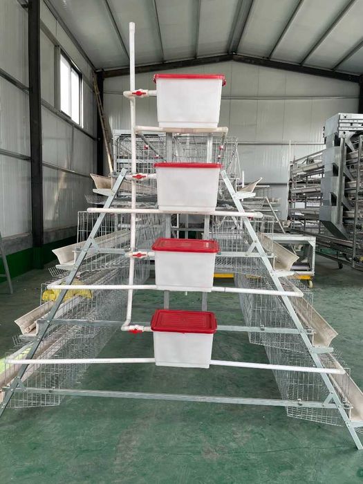 Товуқ қафас катаклар