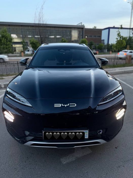 BYD chimpiyon xolati zor