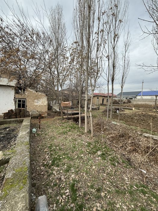 Йик Ота Бектемир 11.7 соток