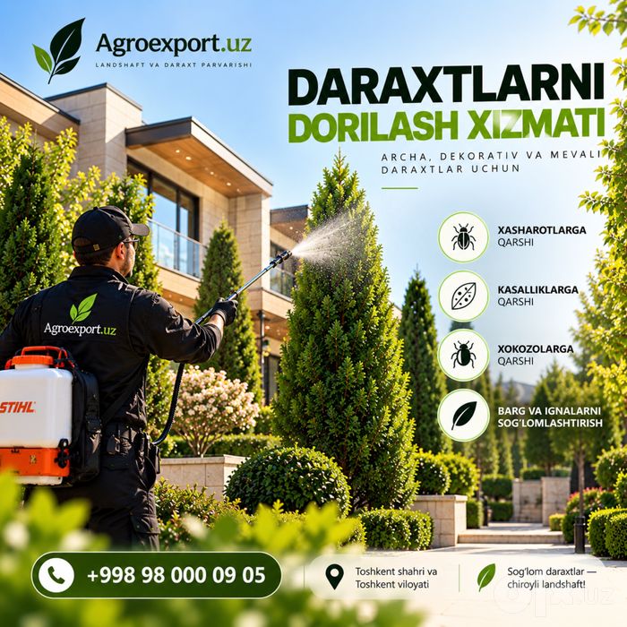 Archa kesish Bogbon