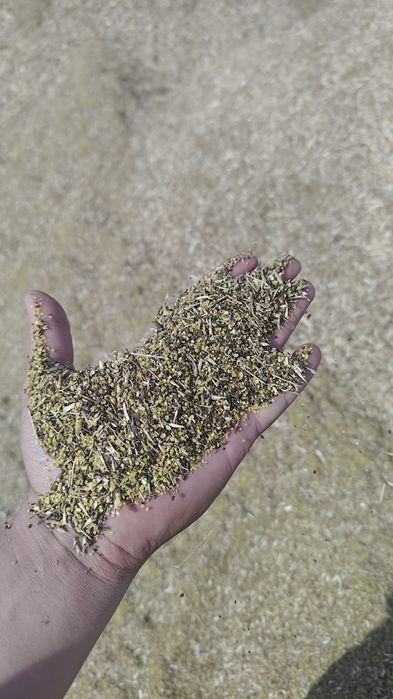 Продам отходы рапса